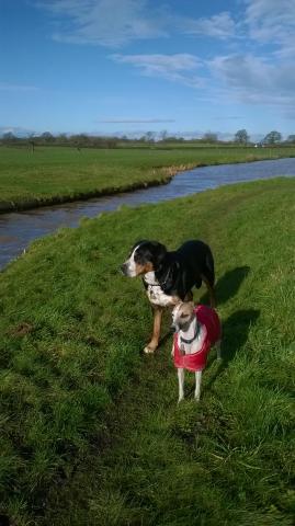 Anka_and_Syb_by_canal.jpg